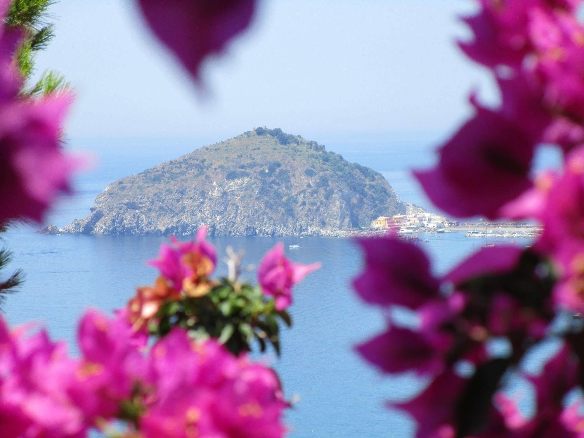 Hotel Villa Al Mare 巴拉诺迪斯基亚 外观 照片