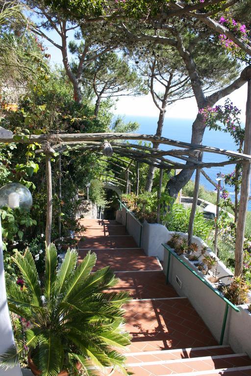Hotel Villa Al Mare 巴拉诺迪斯基亚 外观 照片